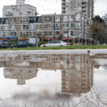 Reflections 2 150x150