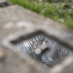 Reflections 4 150x150